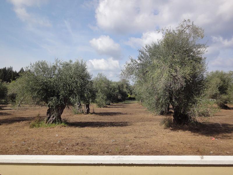 Ekati Hotel Kavos Luaran gambar